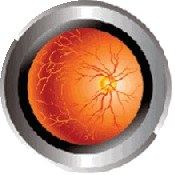 retinii